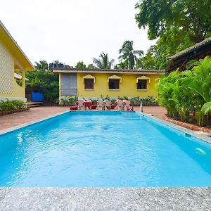 Yoyogoa Cottages